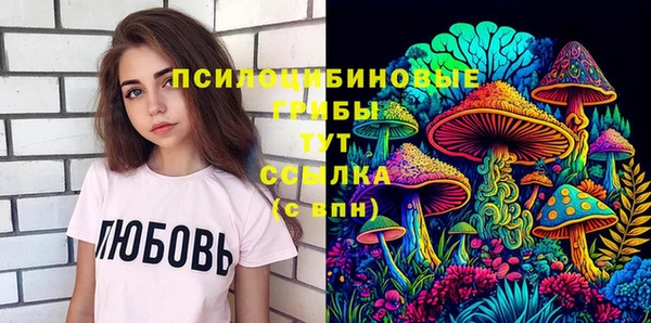 гашик Бугульма
